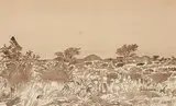 Adolph Jentsch, Sud West Afrika, watercolour on paper