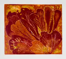 Trudi Dicks, Cotyledon, colour linocut on paper