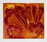 Trudi Dicks, Cotyledon, colour linocut on paper