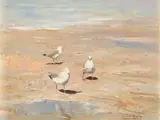Seagulls on the Beach by Errol Boyley, oil on board, sold Jun 2024