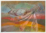 Sara Abbott, Damsel Fly, Rolling Hills, Stanford, pastel on paper