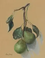 Pears by Frans Oerder, watercolour on paper, sold Jun 2024