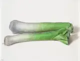 Alex Emsley, Leeks, oil on canvas