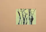 Alice Goldin, Winter, State II, screenprint on brown paper