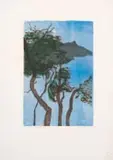 Cape Point State II by Alice Goldin, screenprint on tissue paper, sold Jun 2024