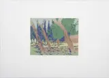 Alice Goldin, Jerusalem Treescape, screenprint on paper
