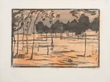Zwartkop by Alice Goldin, woodcut print on tissue paper, sold Jun 2024