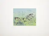 Alice Goldin, Below the Mountain, State II, screenprint on paper