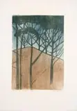 Kloof Nek by Alice Goldin, woodcut print on tissue paper, sold Jun 2024