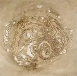 Amanda Coppes-Martin, Above as Below, 2023, Tussar wild silk and hand-made Manilla hemp paper