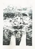 Lyrene Kühn-Botma, Ostrich Strategy, 2024, stone lithograph on magnani