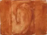 Thea Soggot, Back 11, 2019, earth on Archers paper