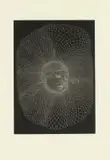 Walter Oltmann, Sleeping Child, lithograph on paper