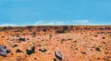 Walter Meyer, Karoo Landscape, oil on canvas