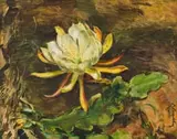 Robert Broadley, A Flower Study