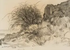 Nico Verboom, Karoo Landscape, charcoal on paper