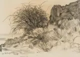Nico Verboom, Karoo Landscape, charcoal on paper