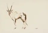 Gemsbok by Zakkie Eloff, ink on paper, sold Dec 2024