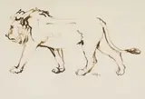 Striding Lion by Zakkie Eloff, ink on paper, sold Dec 2024