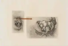 Ezrom Legae, Eye Skull and Feathers, etching on paper