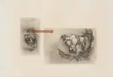 Ezrom Legae, Eye Skull and Feathers, etching on paper