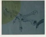 Judith Mason, Claw, colour screenprint on paper