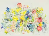 Erica Berry, Flowers, watercolour and pencil on paper