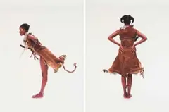 Nandipha Mntambo, Mlwe ne Nkuzi 1 and 2, diptych, 2008, archival ink on cotton rag paper