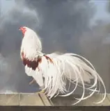 Neil Rodger, Yokohama Rooster III