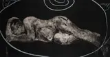 Sleeper and Ubu by William Kentridge, printed soft-ground etching, aquatint and drypoint, from two copper plates, and power-tool engraved polycarbon sheet for, offered Nov 2024