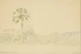 Malalapalm by Leydsdorp O.T. by Jacobus Hendrik Pierneef, watercolour and pencil on paper, sold Nov 2024