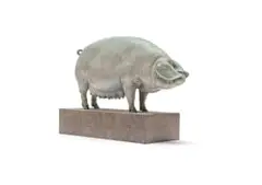 Nick Bibby, British Lop Pig (Liskeard Sunshine 500), British Champion Animals Series, bronze with a white, pink, grey and gold patina, on a bronze base