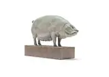 Nick Bibby, British Lop Pig (Liskeard Sunshine 500), British Champion Animals Series, bronze with a white, pink, grey and gold patina, on a bronze base