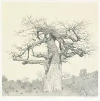 Anton Kannemeyer, Kremetart, Pafuri, silkscreen print on paper