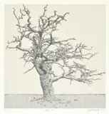 Anton Kannemeyer, Dead Oak