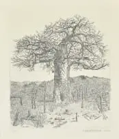 Anton Kannemeyer, Baoabab Tree, Pafuri, etching on paper