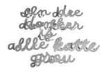 Cecilia Steinberg, In die Donker is Alle Katte Grou (In the Dark All Cats are Grey), 2024, steel cutout letters powdercoated in mirror finish