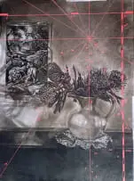 Corlie de Kock, Fauna, Flora and Good Hope - A Random Deconstruction, charcoal and acrylic on Fabriano paper