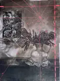 Corlie de Kock, Fauna, Flora and Good Hope - A Random Deconstruction, charcoal and acrylic on Fabriano paper