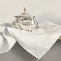 Diane McLean, Silver Sugar Pot I, oil on board