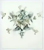 Ingrid Uys, Underneath it All, oil and acetate and canvas