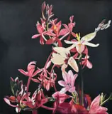 Madelein Marincowitz, Garden of Love, 2021, oil on canvas