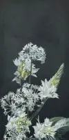 Madelein Marincowitz, Chincherinchees and Chives, oil and acrylic on wood