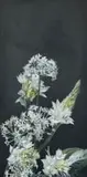 Madelein Marincowitz, Chincherinchees and Chives, oil and acrylic on wood