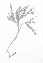 Nellien Brewer, Flotsam and Jetsam Fragment 2, digital text and blind embossing on Fabriano paper