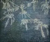 Rosemary Joynt, Garden Galaxies, oil on belgian linen