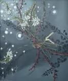 Zonia Nel-Scheffer, Dankie / Thank you, 1 out of 2, oil on canvas