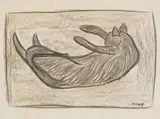 Charles Gassner, Cat Falling, charcoal on paper