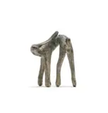 Guy Du Toit, Bending Hare