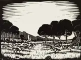 David Botha, Landscape with Trees, linocut on paper
